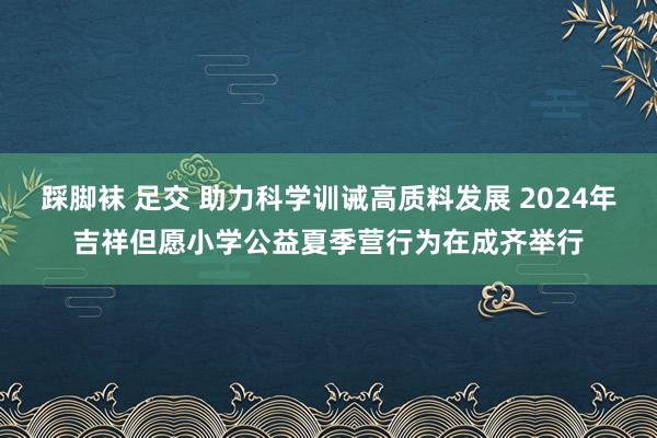 踩脚袜 足交 助力科学训诫高质料发展 2024年吉祥但愿小学公益夏季营行为在成齐举行
