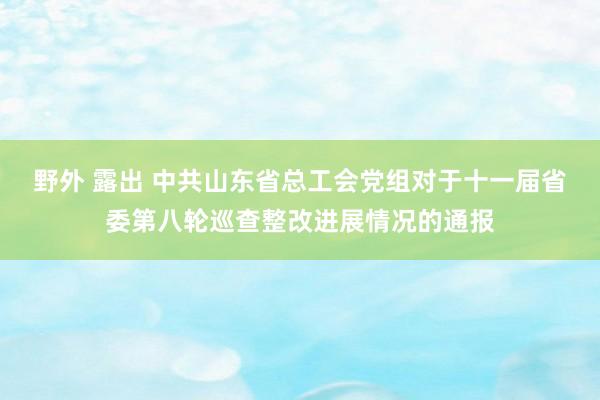 野外 露出 中共山东省总工会党组对于十一届省委第八轮巡查整改进展情况的通报