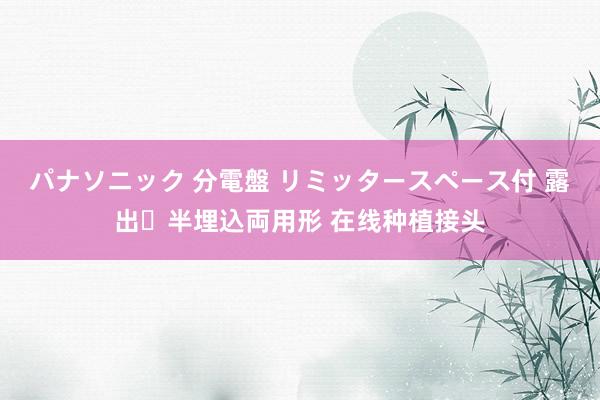 パナソニック 分電盤 リミッタースペース付 露出・半埋込両用形 在线种植接头