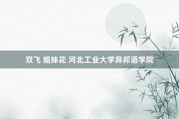 双飞 姐妹花 河北工业大学异邦语学院