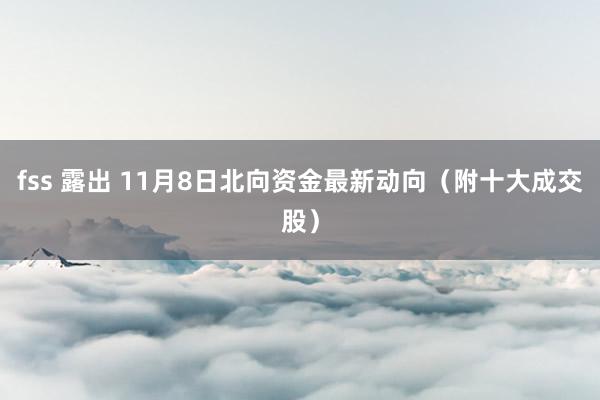 fss 露出 11月8日北向资金最新动向（附十大成交股）