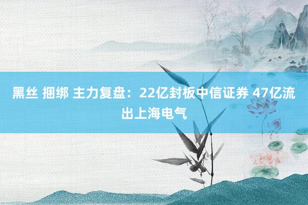 黑丝 捆绑 主力复盘：22亿封板中信证券 47亿流出上海电气