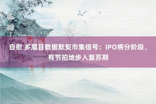 自慰 多眉目数据默契市集信号：IPO将分阶段、有节拍地步入复苏期