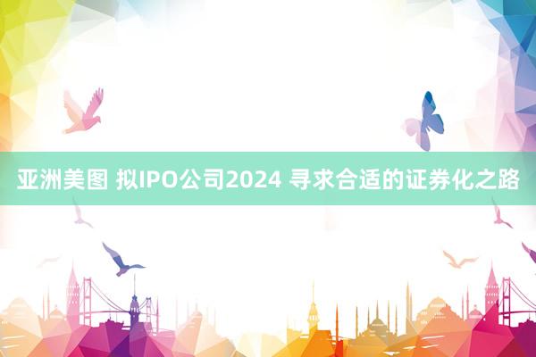 亚洲美图 拟IPO公司2024 寻求合适的证券化之路